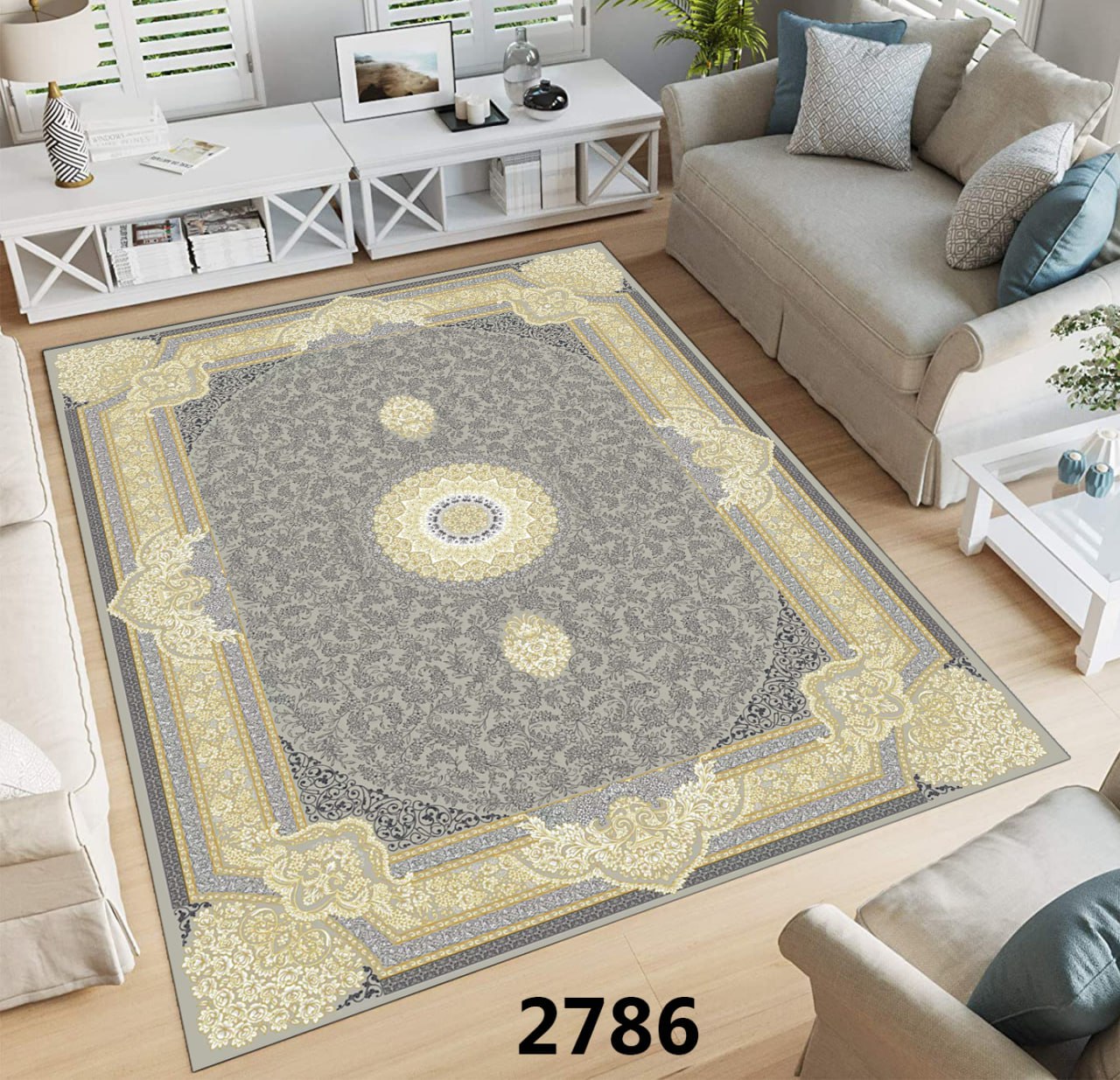 photo_2025-11-13_11-54-28